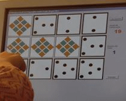 Neurofeedback